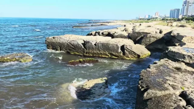 1780636717