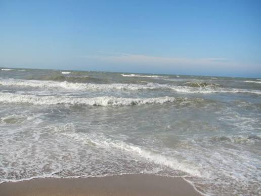 images (7)